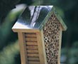 Wildlife Habitat