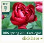 Autumn 2009 Catalogue