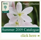 Summer 2009 Catalogue
