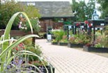Harlow Carr