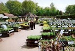 Wisley