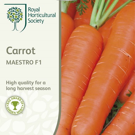 Buy carrot: