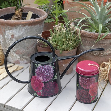 Buy Watering cans: