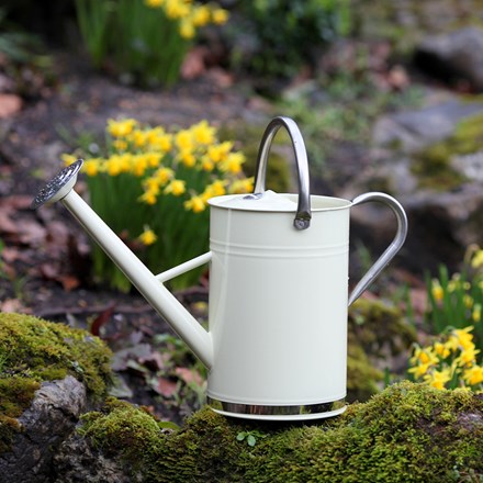 Buy Watering cans:
